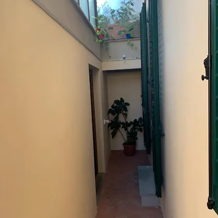 Il Quadrifoglio Nascosto 3*